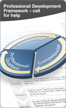Professional Development Framework